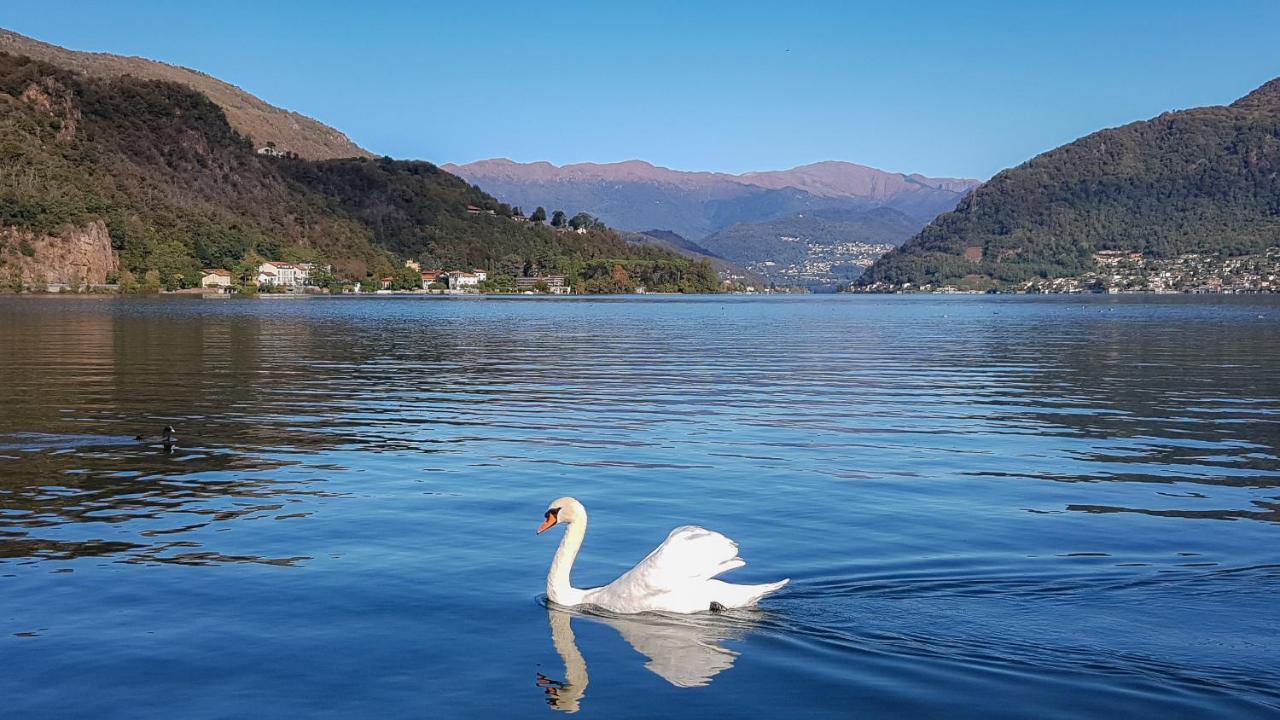 Major Sisters, Appartamento Vista Lago Di Lugano Porto Ceresio Kültér fotó